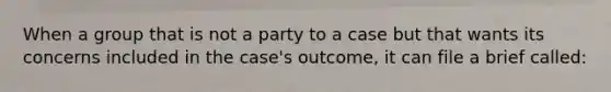 When a group that is not a party to a case but that wants its concerns included in the case's outcome, it can file a brief called: