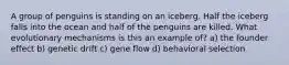 A group of penguins is standing on an iceberg. Half the iceberg falls into the ocean and half of the penguins are killed. What evolutionary mechanisms is this an example of? a) the founder effect b) genetic drift c) gene flow d) behavioral selection