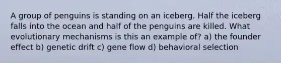 A group of penguins is standing on an iceberg. Half the iceberg falls into the ocean and half of the penguins are killed. What evolutionary mechanisms is this an example of? a) the founder effect b) genetic drift c) gene flow d) behavioral selection