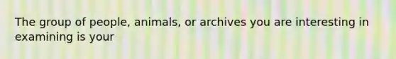 The group of people, animals, or archives you are interesting in examining is your