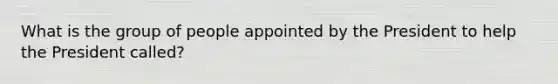 What is the group of people appointed by the President to help the President called?