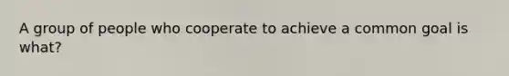 A group of people who cooperate to achieve a common goal is what?