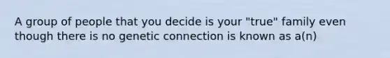 A group of people that you decide is your "true" family even though there is no genetic connection is known as a(n)