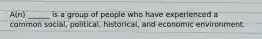 A(n) ______ is a group of people who have experienced a common social, political, historical, and economic environment.