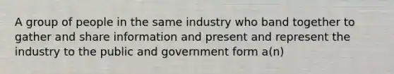 A group of people in the same industry who band together to gather and share information and present and represent the industry to the public and government form a(n)