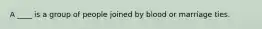 A ____ is a group of people joined by blood or marriage ties.