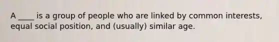 A ____ is a group of people who are linked by common interests, equal social position, and (usually) similar age.