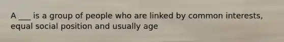 A ___ is a group of people who are linked by common interests, equal social position and usually age