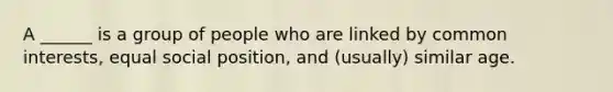 A ______ is a group of people who are linked by common interests, equal social position, and (usually) similar age.