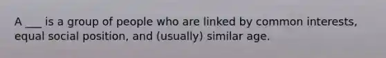 A ___ is a group of people who are linked by common interests, equal social position, and (usually) similar age.