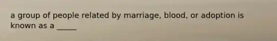 a group of people related by marriage, blood, or adoption is known as a _____