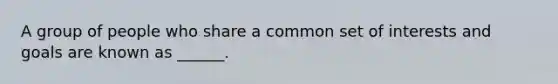 A group of people who share a common set of interests and goals are known as ______.