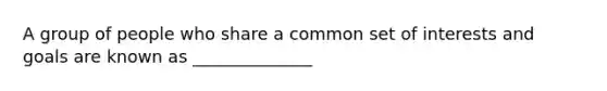 A group of people who share a common set of interests and goals are known as ______________