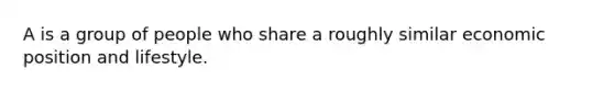 A is a group of people who share a roughly similar economic position and lifestyle.