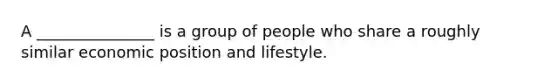 A _______________ is a group of people who share a roughly similar economic position and lifestyle.