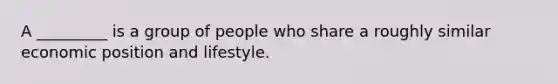 A _________ is a group of people who share a roughly similar economic position and lifestyle.