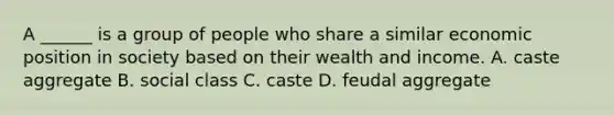 A ______ is a group of people who share a similar economic position in society based on their wealth and income. A. caste aggregate B. social class C. caste D. feudal aggregate