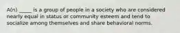 A(n) _____ is a group of people in a society who are considered nearly equal in status or community esteem and tend to socialize among themselves and share behavioral norms.