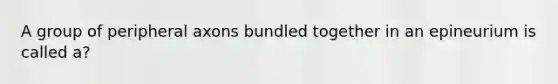 A group of peripheral axons bundled together in an epineurium is called a?