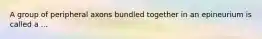 A group of peripheral axons bundled together in an epineurium is called a ...
