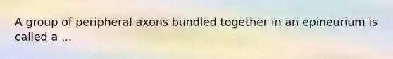 A group of peripheral axons bundled together in an epineurium is called a ...
