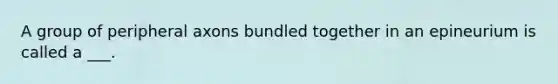 A group of peripheral axons bundled together in an epineurium is called a ___.