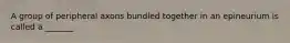 A group of peripheral axons bundled together in an epineurium is called a _______.