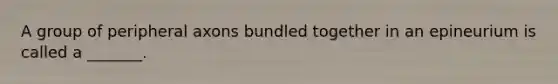 A group of peripheral axons bundled together in an epineurium is called a _______.