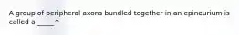 A group of peripheral axons bundled together in an epineurium is called a _____^