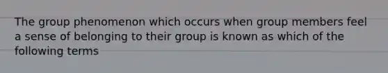 The group phenomenon which occurs when group members feel a sense of belonging to their group is known as which of the following terms