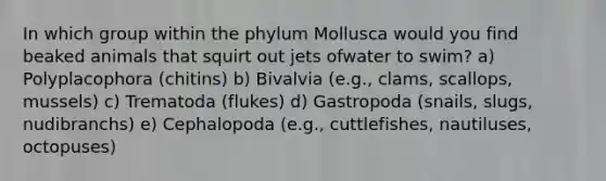 In which group within the phylum Mollusca would you find beaked animals that squirt out jets ofwater to swim? a) Polyplacophora (chitins) b) Bivalvia (e.g., clams, scallops, mussels) c) Trematoda (flukes) d) Gastropoda (snails, slugs, nudibranchs) e) Cephalopoda (e.g., cuttlefishes, nautiluses, octopuses)