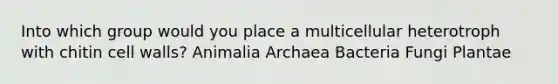 Into which group would you place a multicellular heterotroph with chitin cell walls? Animalia Archaea Bacteria Fungi Plantae