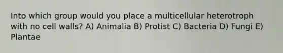Into which group would you place a multicellular heterotroph with no cell walls? A) Animalia B) Protist C) Bacteria D) Fungi E) Plantae
