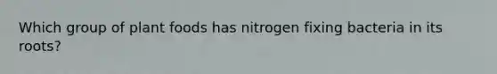 Which group of plant foods has nitrogen fixing bacteria in its roots?