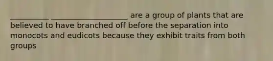 __________ ____________________ are a group of plants that are believed to have branched off before the separation into monocots and eudicots because they exhibit traits from both groups