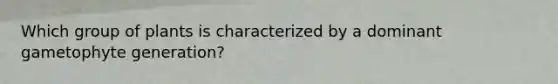 Which group of plants is characterized by a dominant gametophyte generation?
