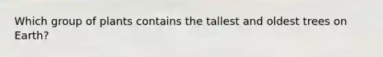 Which group of plants contains the tallest and oldest trees on Earth?