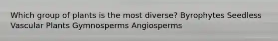 Which group of plants is the most diverse? Byrophytes Seedless Vascular Plants Gymnosperms Angiosperms