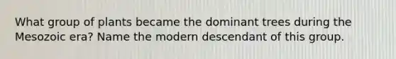 What group of plants became the dominant trees during the Mesozoic era? Name the modern descendant of this group.