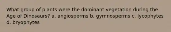 What group of plants were the dominant vegetation during the Age of Dinosaurs? a. angiosperms b. gymnosperms c. lycophytes d. bryophytes