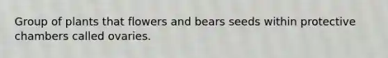 Group of plants that flowers and bears seeds within protective chambers called ovaries.