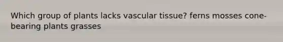 Which group of plants lacks vascular tissue? ferns mosses cone-bearing plants grasses