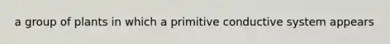 a group of plants in which a primitive conductive system appears