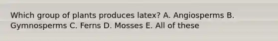 Which group of plants produces latex? A. Angiosperms B. Gymnosperms C. Ferns D. Mosses E. All of these