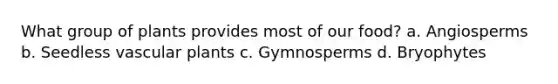 What group of plants provides most of our food? a. Angiosperms b. Seedless <a href='https://www.questionai.com/knowledge/kbaUXKuBoK-vascular-plants' class='anchor-knowledge'>vascular plants</a> c. Gymnosperms d. Bryophytes