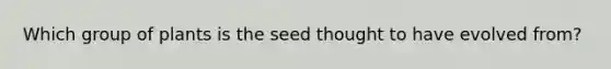 Which group of plants is the seed thought to have evolved from?