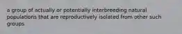 a group of actually or potentially interbreeding natural populations that are reproductively isolated from other such groups