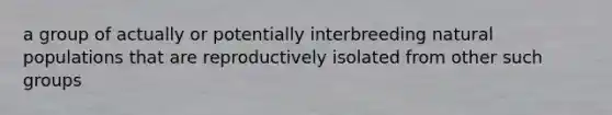 a group of actually or potentially interbreeding natural populations that are reproductively isolated from other such groups