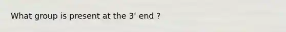 What group is present at the 3' end ?