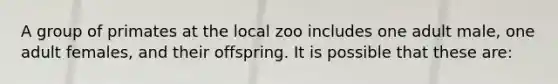 A group of primates at the local zoo includes one adult male, one adult females, and their offspring. It is possible that these are: